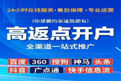 SEM推广实战：成功案例解读与策略调整